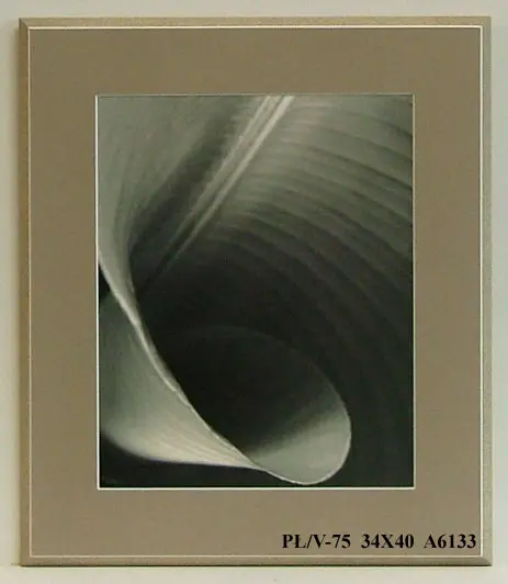 Obraz Liść, kadr 34x40 cm