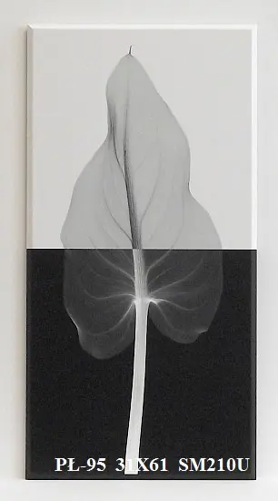 Obraz Liść na biało-czarnym tle, fotografia X-Ray 31x61 cm