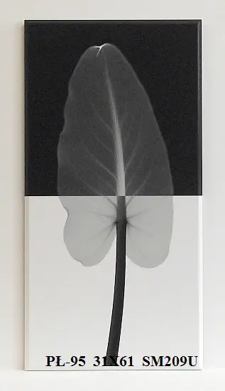 Obraz Liść na czarno-białym tle, fotografia X-Ray 31x61 cm