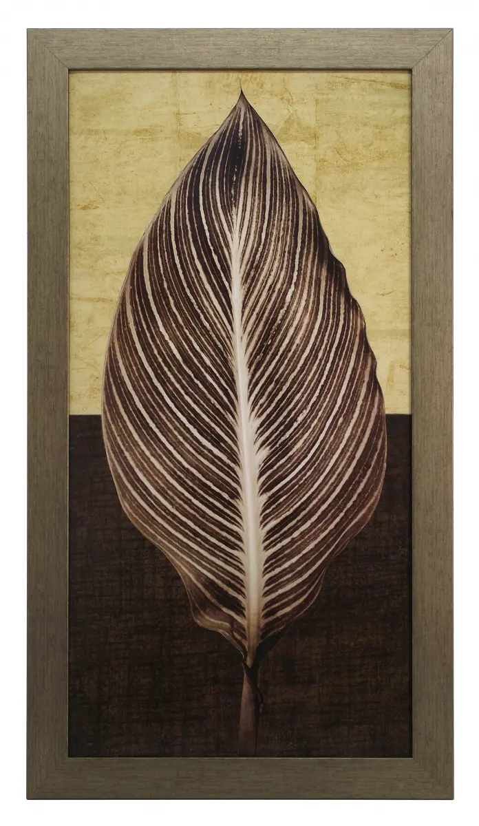 Obraz Liść palmowy w ramie 40x80 cm