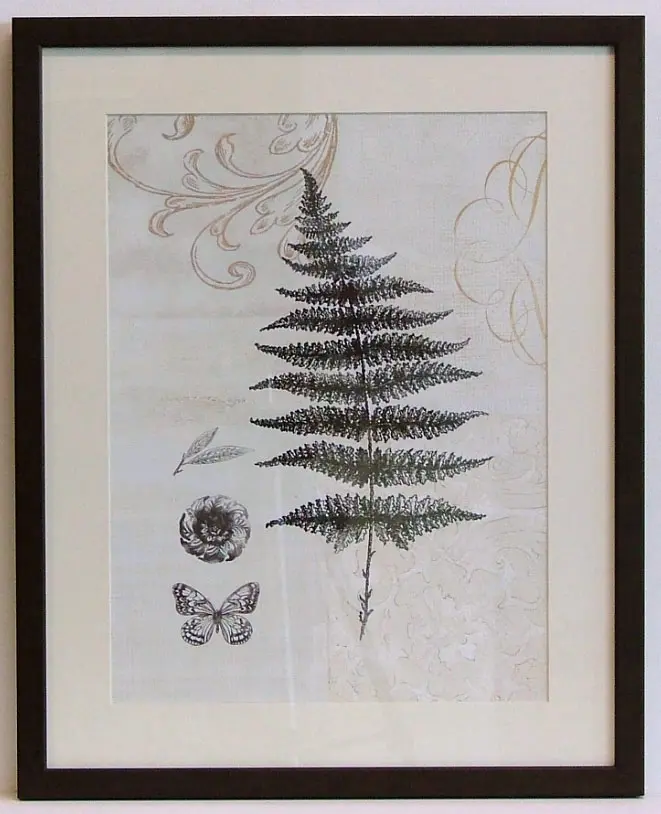 Obraz Liść paprotki 39x49 cm