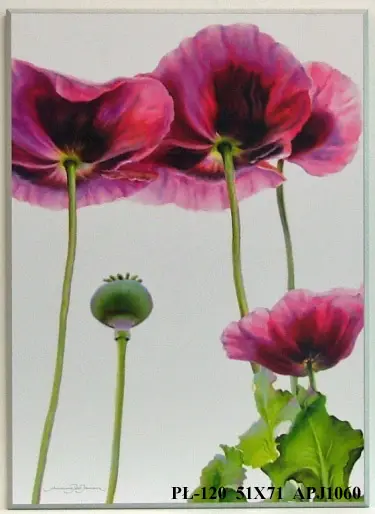 Obraz Maki, zbliżenie 51x71 cm