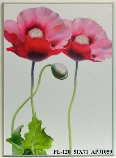 Obraz Maki, zbliżenie 51x71 cm