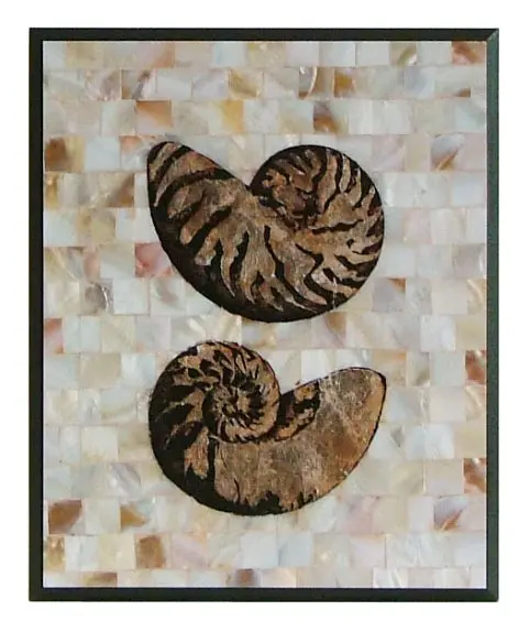 Obraz Masa perłowa. Muszle na płycie 25x31 cm
