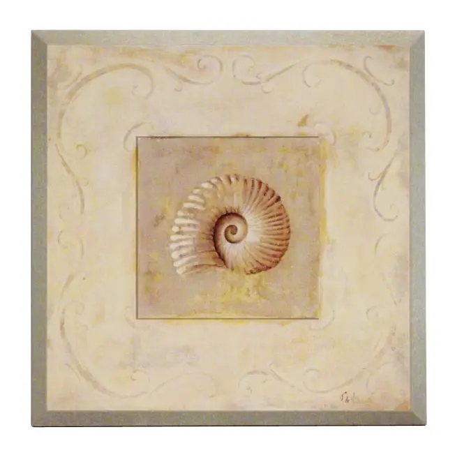 Obraz Morska skamielina, muszla na płycie z pogrubieniem 19x19 cm