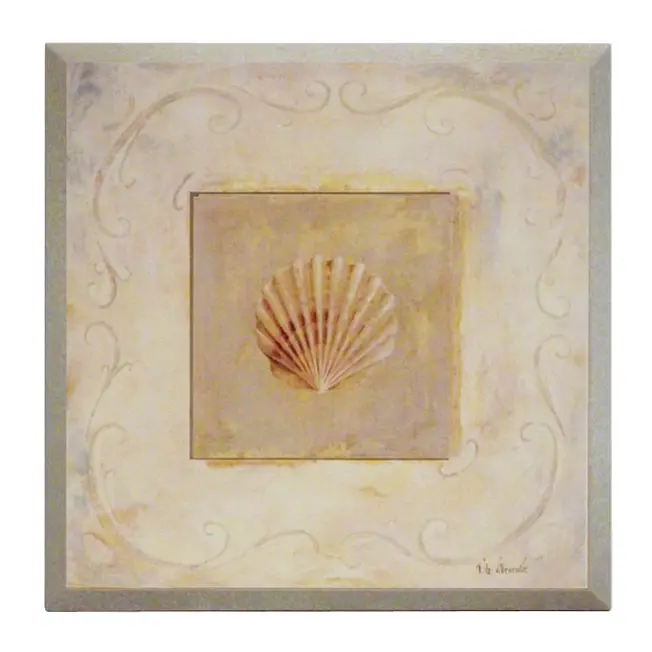 Obraz Morska skamielina, muszla na płycie z pogrubieniem 19x19 cm