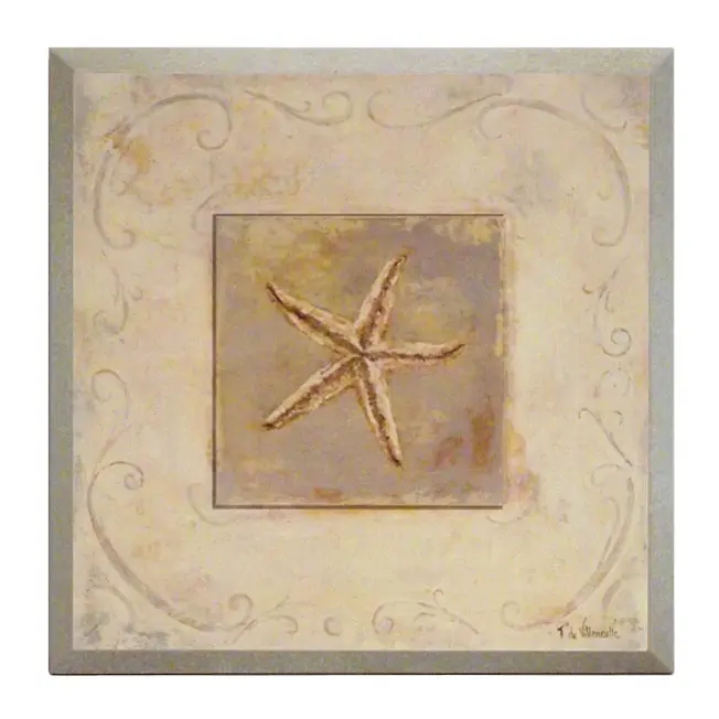 Obraz Morska skamielina, rozgwiazda na płycie z pogrubieniem 19x19 cm