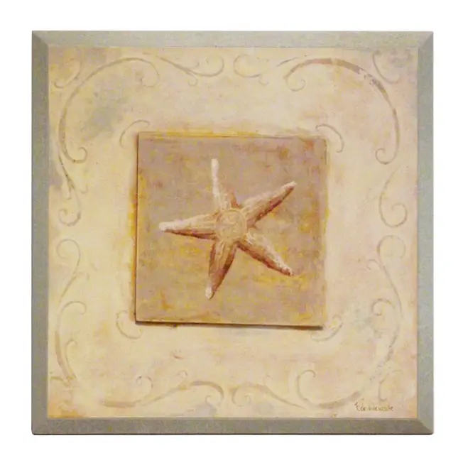 Obraz Morska skamielina, rozgwiazda na płycie z pogrubieniem 19x19 cm