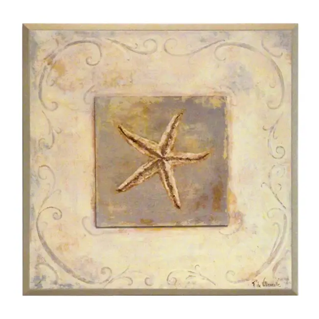 Obraz Morska skamielina, rozgwiazda na płycie z pogrubieniem 31x31 cm
