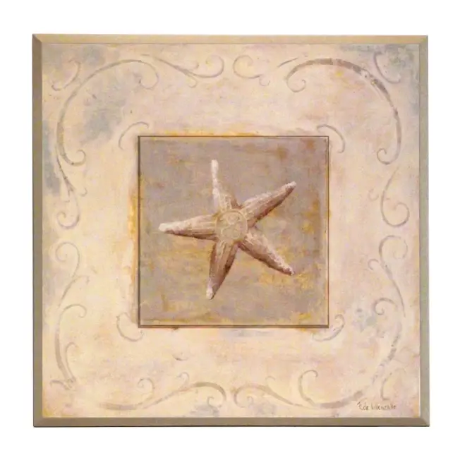 Obraz Morska skamielina, rozgwiazda na płycie z pogrubieniem 31x31 cm