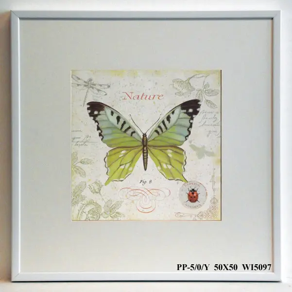 Obraz Motyl z gablotki 50x50 cm