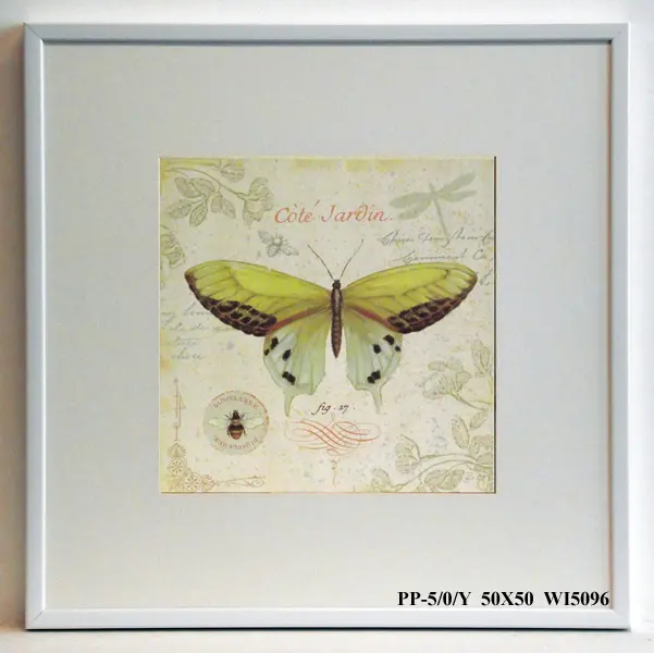 Obraz Motyl z gablotki 50x50 cm