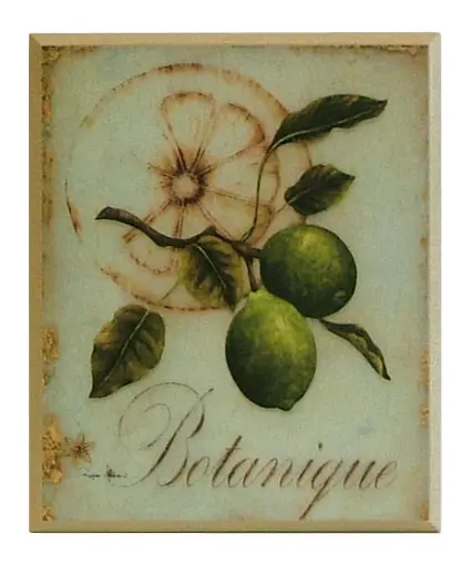Obraz Motywy botaniczne, limonki na płycie 26x31 cm