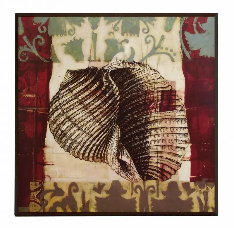Obraz Muszla w ornamentach 51x51 cm