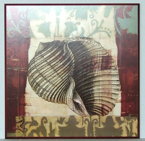 Obraz Muszla w ornamentach na płycie z pogrubieniem 51x51 cm