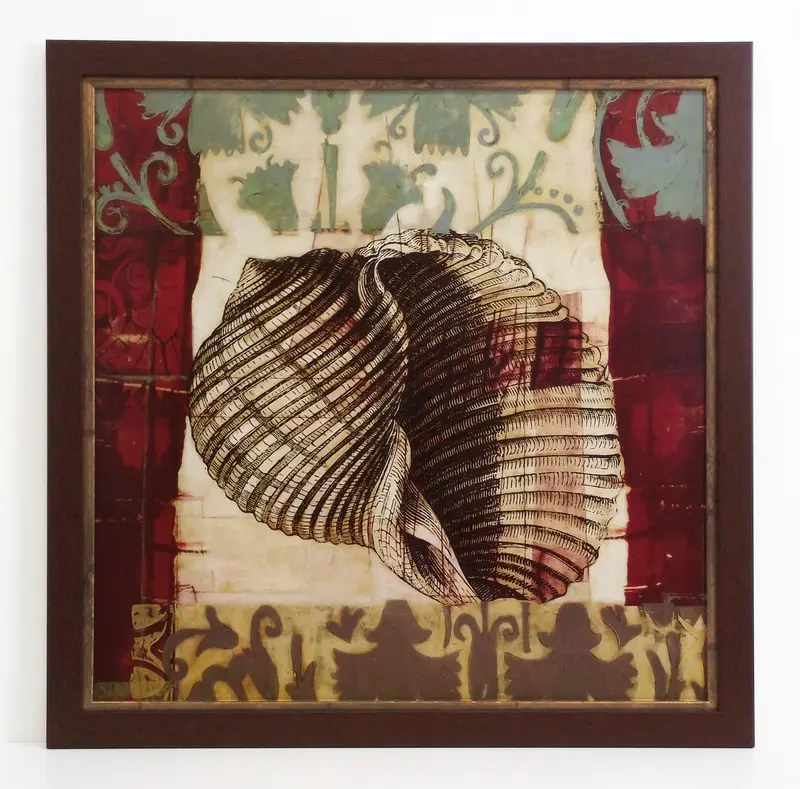 Obraz Muszla w ornamentach w ramie 50x50 cm