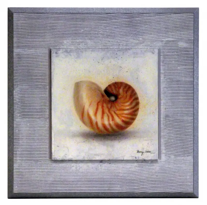 Obraz Muszle marynarza na płycie 25x25 cm