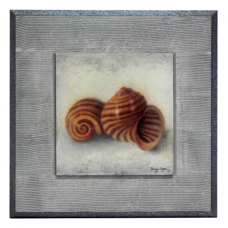Obraz Muszle marynarza na płycie 25x25 cm