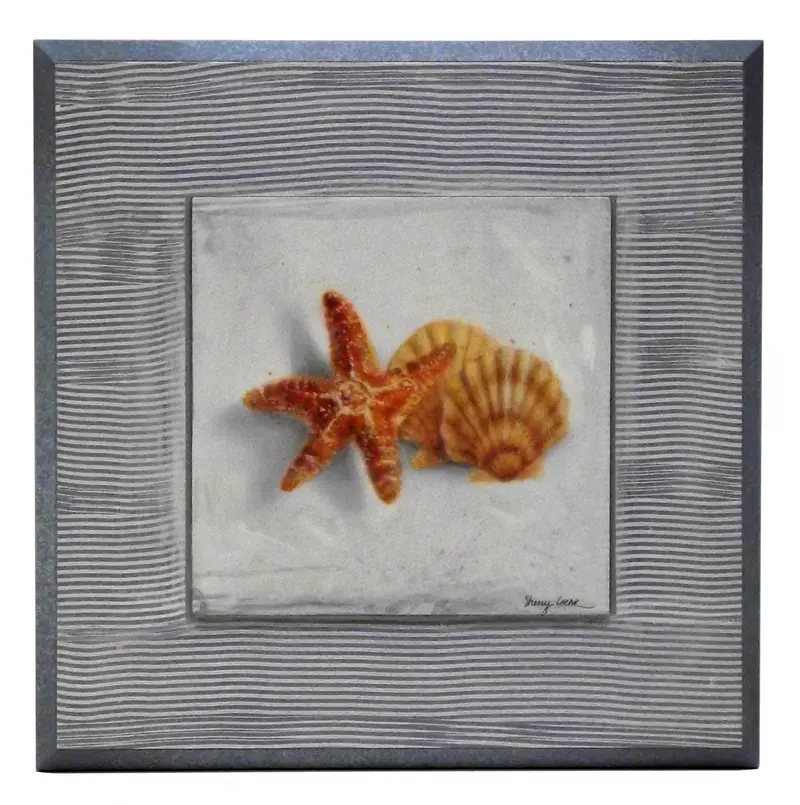 Obraz Muszle marynarza na płycie 25x25 cm