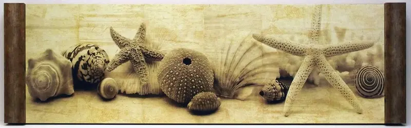 Obraz Muszle, morskie skarby I 90x30 cm