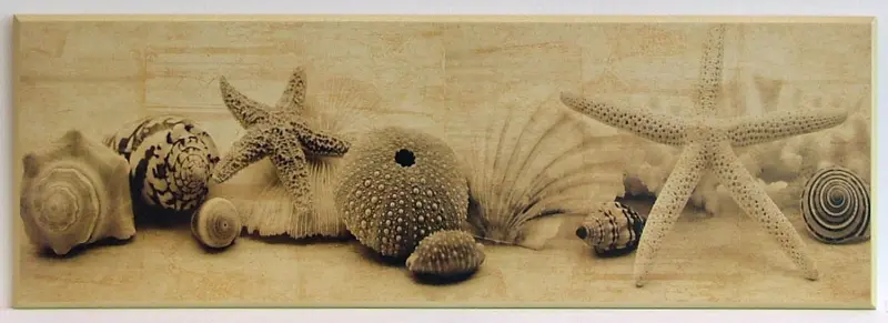 Obraz Muszle, morskie skarby I 91x31 cm