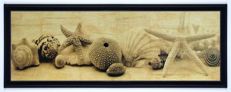 Obraz Muszle, morskie skarby I, fotografia w sepii w ramie 90x30 cm