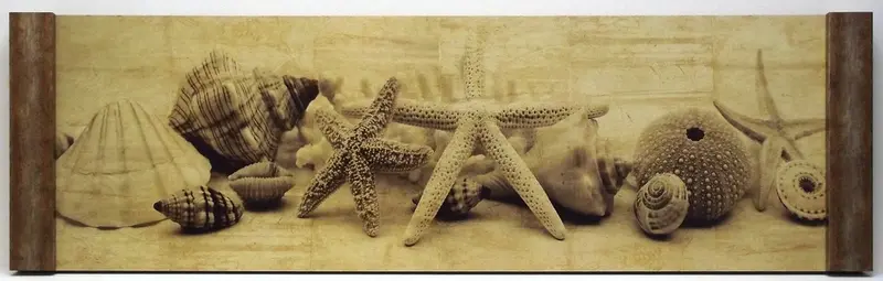 Obraz Muszle, morskie skarby II 90x30 cm