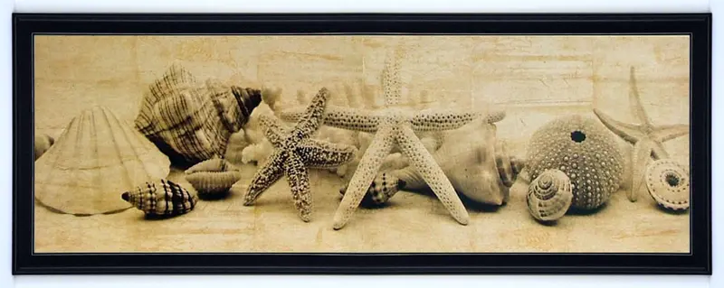 Obraz Muszle, morskie skarby II, fotografia w sepii w ramie 90x30 cm