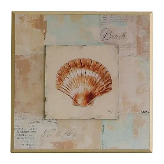 Obraz Muszle w pastelach 1 na płycie 31x31 cm