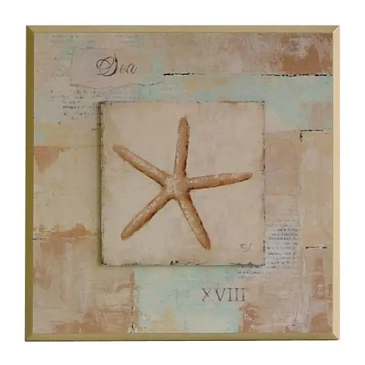 Obraz Muszle w pastelach 3 na płycie 31x31 cm