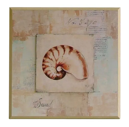 Obraz Muszle w pastelach 4 na płycie 31x31 cm