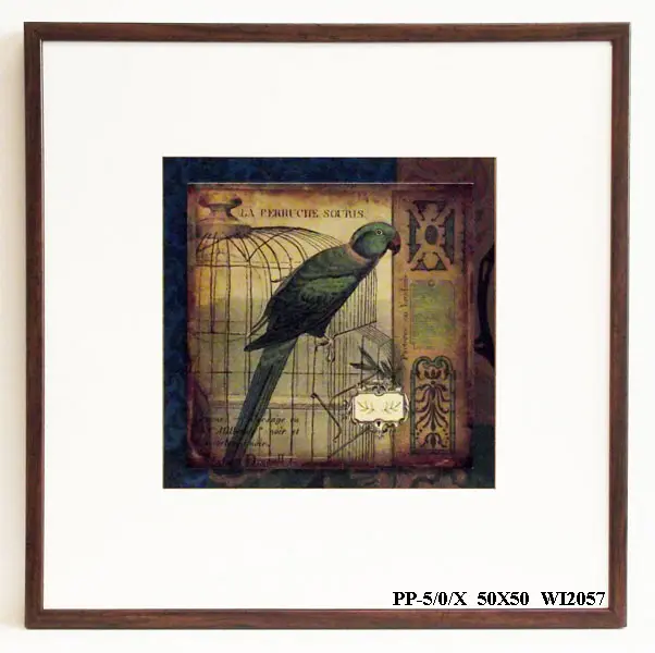 Obraz Natura na tle szkiców ornamentów, papuga 50x50 cm