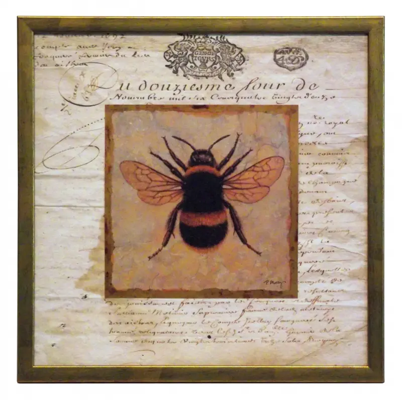 Obraz Natura w stylu vintage, Bąk na passe-partout ze starego listu w ramce 30x30 cm