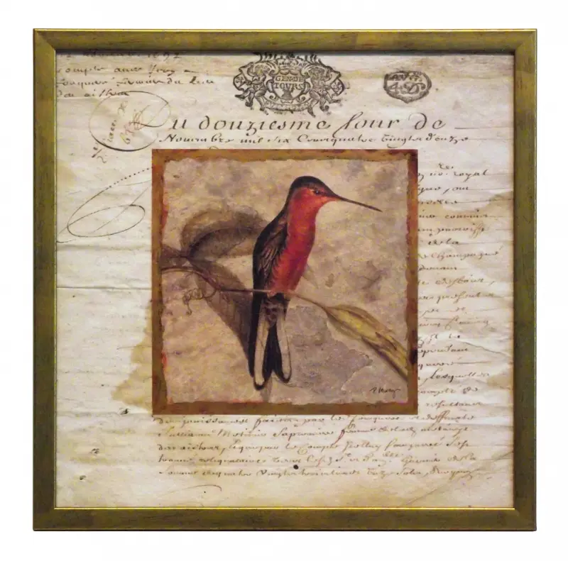 Obraz Natura w stylu vintage, Koliber na passe-partout ze starego listu w ramce 30x30 cm