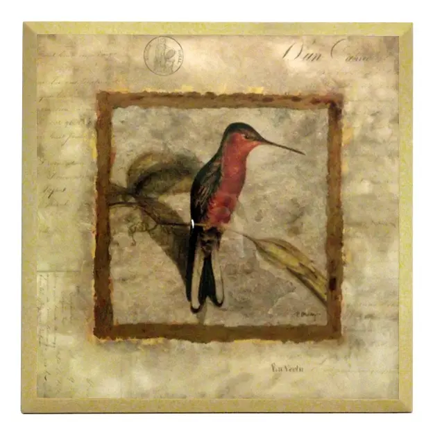 Obraz Natura w stylu vintage, Koliber,ptak na płycie 19x19 cm z pogrubieniem