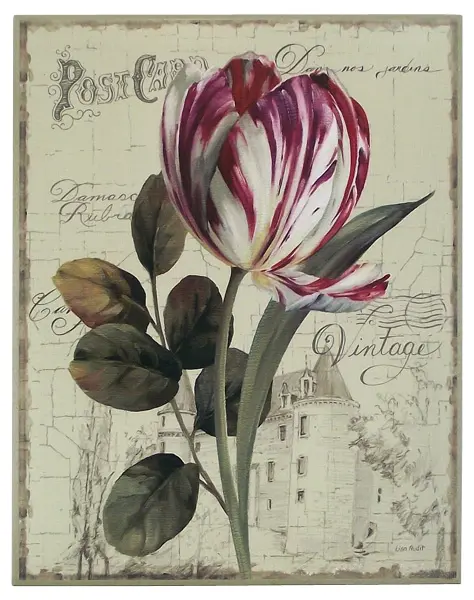Obraz Ogrodowe kwiaty, tulipan na szkicach architektury na płycie 56x71 cm
