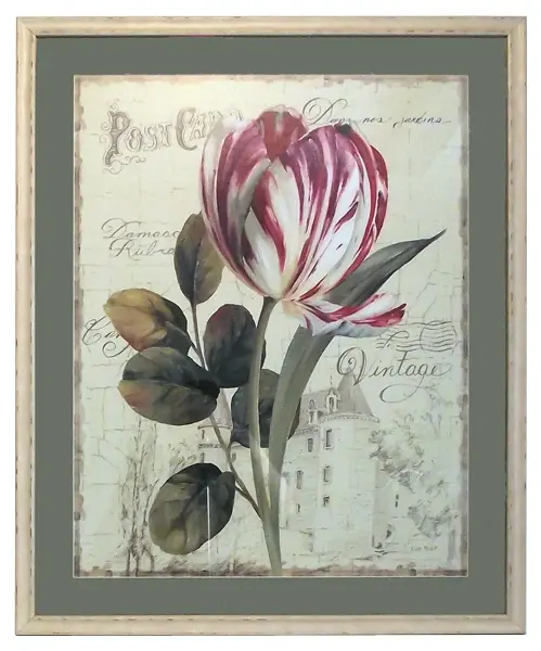Obraz Ogrodowe kwiaty, tulipan na szkicach architektury w ramie z passe-partout 67x82 cm