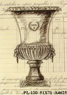 Obraz Ołówkowy szkic wazy 51x71 cm