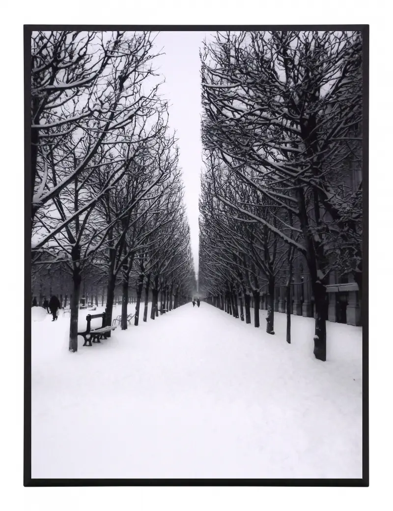 Obraz Paryż, Park Tuileries, pejzaż zimowy, czarno-biała fotografia na płycie 31x41 cm