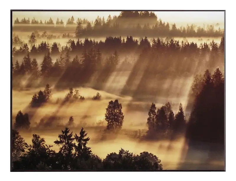 Obraz Pejzaż - Mgła nad Bawarią, kolorowa fotografia na płycie 71x51 cm