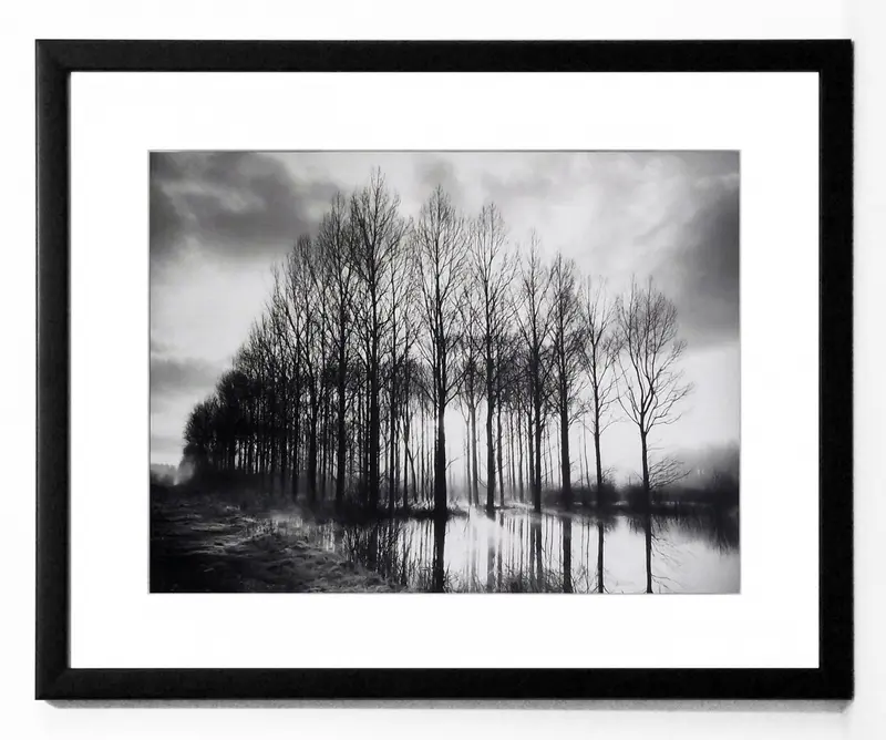 Obraz Pejzaż, Normandia, drzewa, czarno-biała fotografia z pass-partout w ramie 53x43 cm