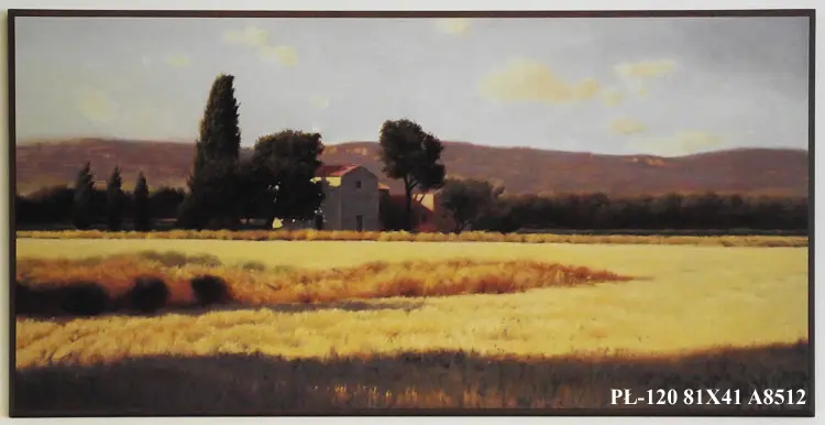 Obraz Pejzaż z pagórkami w oddali 81x41 cm