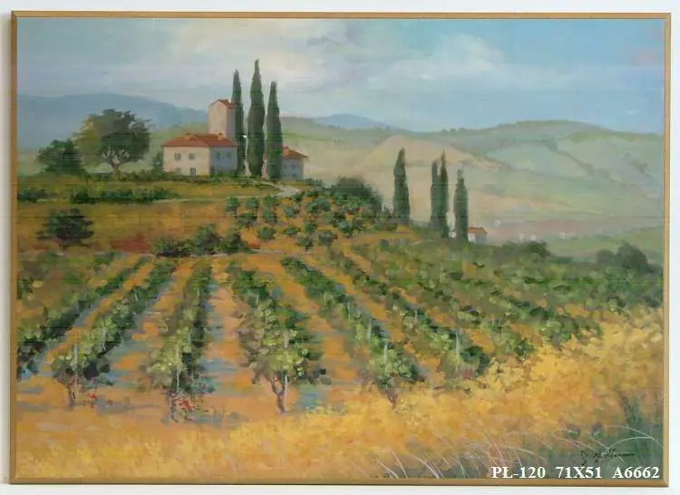 Obraz Pejzaż z polami 71x51 cm