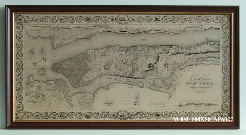Obraz Plan Nowego Jorku 50x100 cm