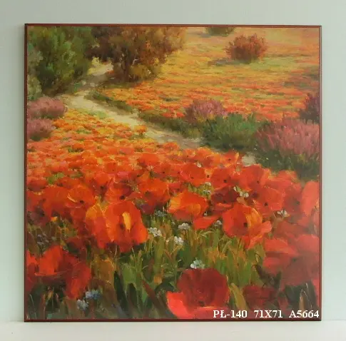 Obraz Pola maków 71x71 cm
