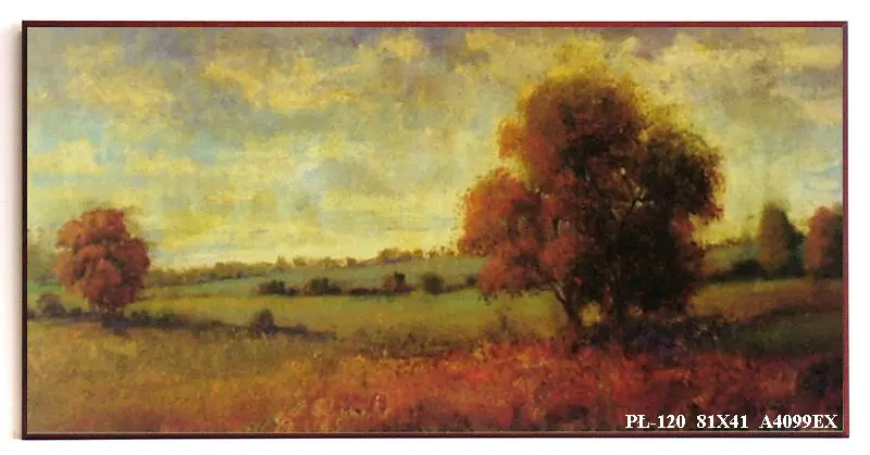 Obraz Pola z drzewami 81x41 cm
