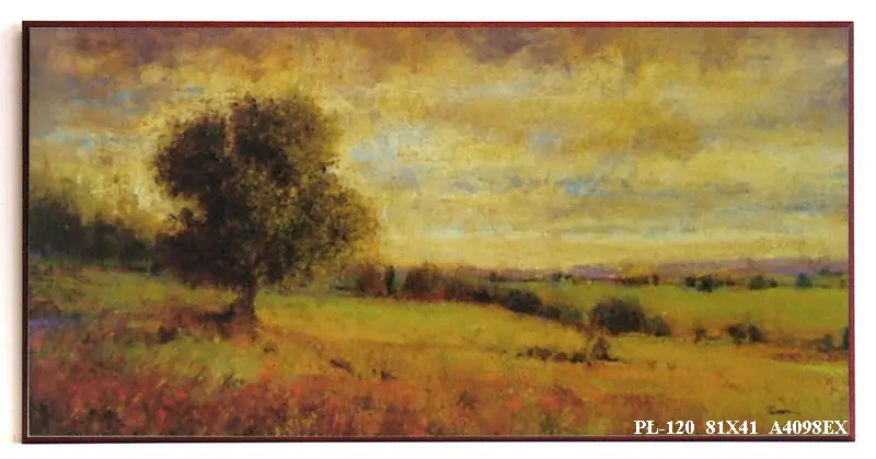 Obraz Pola z drzewami 81x41 cm