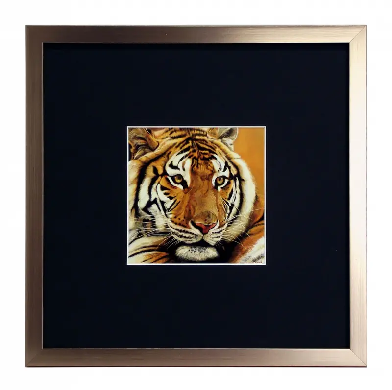 Obraz Portret Tygrysa oprawiona w ramkę koloru rose gold z passe-partout 30x30 cm