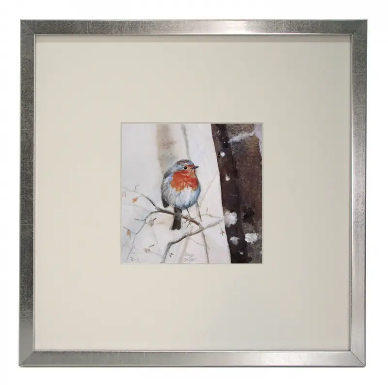 Obraz Ptaki, Rudzik w ramie z passe-partout 30x30 cm