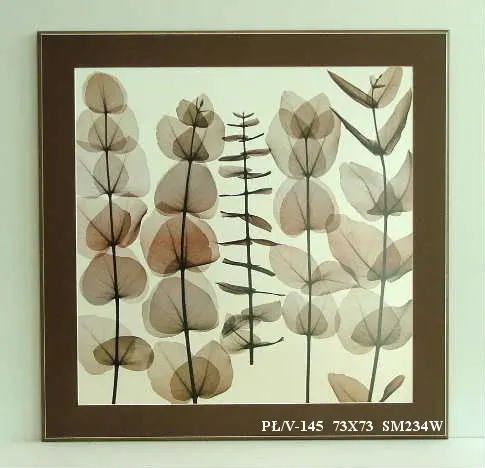 Obraz Roślina, X-Ray 73x73 cm
